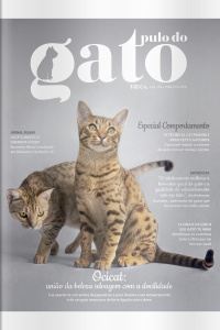 Pulo do Gato Ed. 169 Ocicat: união da beleza selvagem com a docilidade 