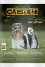 Cães e Cia Ed. 521 - 7 mitos ou verdades sobre o Biewer Terrier
