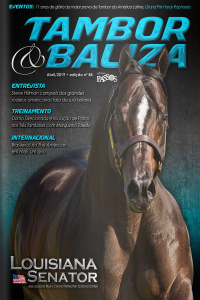 Tambor  Baliza Edição Nº 84