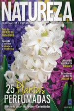Revista Natureza Jardinagem  Paisagismo N° 378