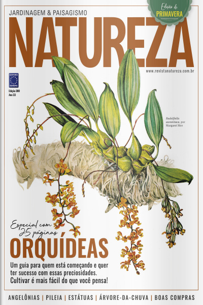 Revista Natureza Jardinagem  Paisagismo N° 380